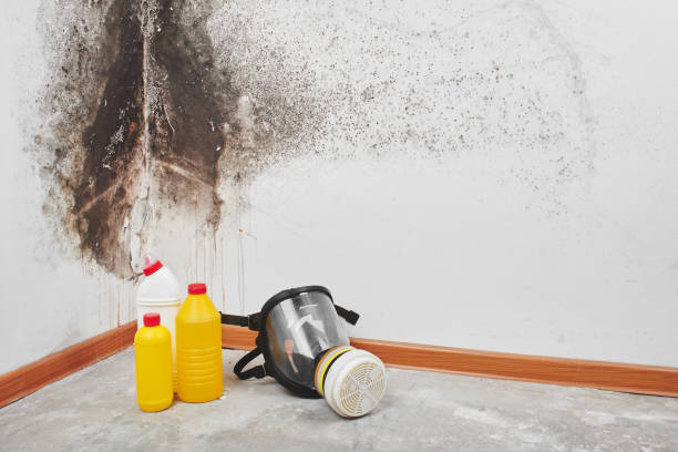 Best Mold Testing  in Osborne, KS