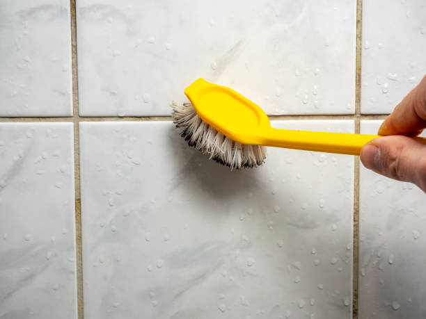  Osborne, KS Mold Removal Pros
