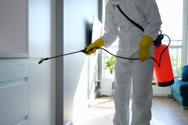 Best Affordable Mold Removal  in Osborne, KS