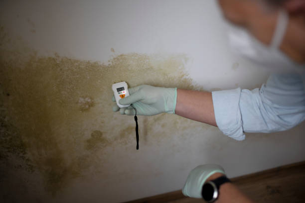 Best Crawl Space Mold Removal  in Osborne, KS